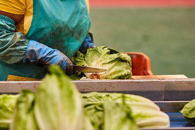 Close-up of person working on cutting board