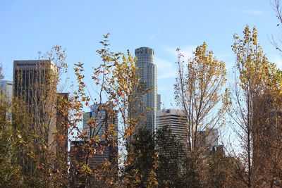 Tall buildings against blue sky