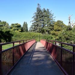 Footbridge along plants and trees against sky