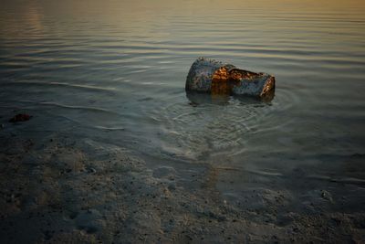 Close-up of rusty drum in sea