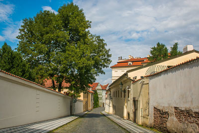 Road amidst trees and buildings against sky