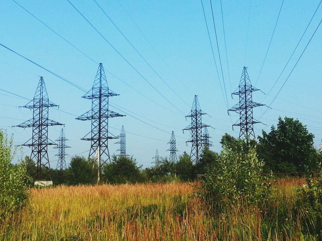 power line, electricity pylon, power supply, electricity, cable, fuel and power generation, field, grass, connection, sky, technology, growth, clear sky, power cable, landscape, plant, blue, rural scene, nature, tranquility