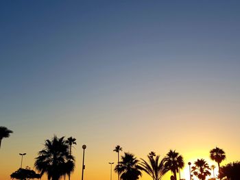 Low angle view of silhouette palm trees against sky during sunset