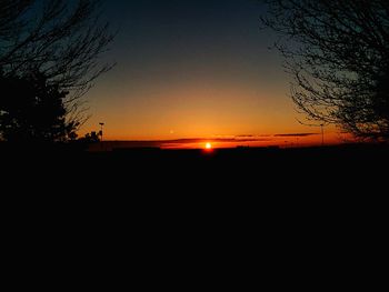 Silhouette of trees at sunset