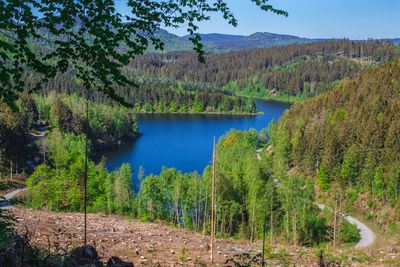 Scenic view of lake amidst trees in forest against sky