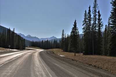 Panoramic view of road amidst trees against sky