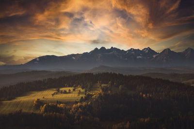 Scenic view of field against sky during sunset