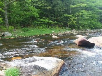 Stream flowing through rocks in forest