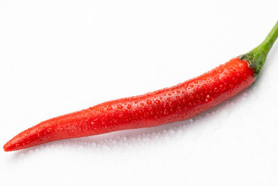 Close-up of red chili pepper against white background