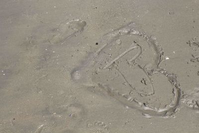 High angle view of text on wet sand