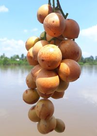 Close-up of grapes in water against sky