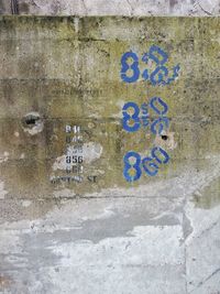 Close-up view of paving stone