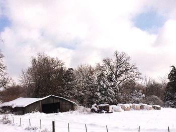 Trees on snow covered field