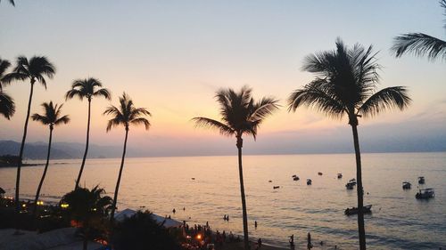Silhouette palm trees by swimming pool against sky during sunset