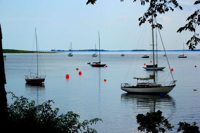 Boats moored in sea