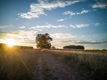 Scenic view of field against sky during sunset