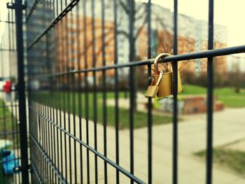 Close-up of padlocks on railing