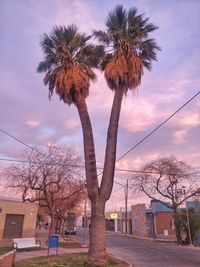 Bare tree by street against sky