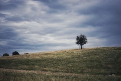 Trees on field against sky