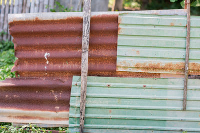 Close-up of bees on wooden bench