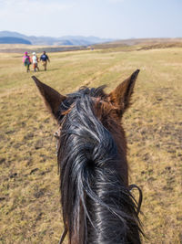 Close-up of horse on field against sky