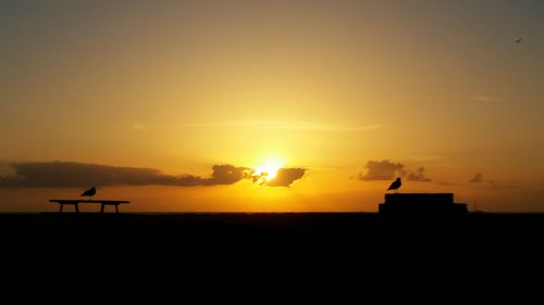 Silhouette birds perching on orange sky during sunset