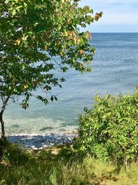 Scenic view of sea against sky