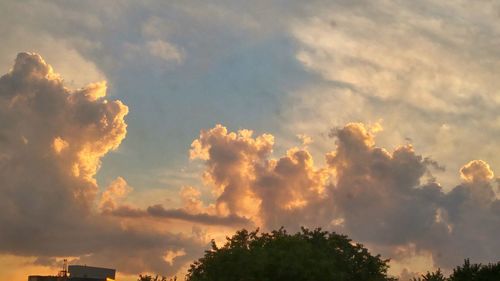 Low angle view of trees against cloudy sky