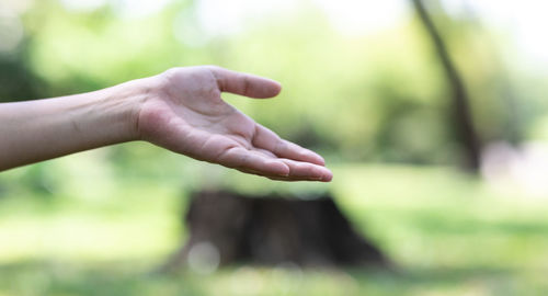 Cropped image of hand against blurred background