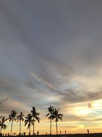 Silhouette palm trees against sky during sunset