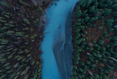 High angle view of stream by trees