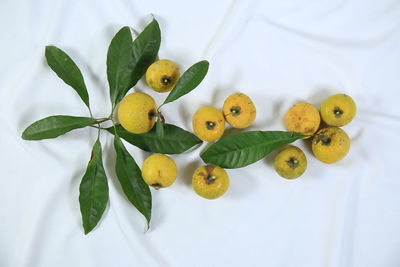 High angle view of fruits and leaves on white