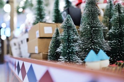 Close-up of christmas tree