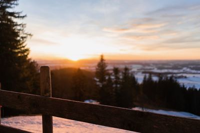 Trees on snow covered land against sky during sunset