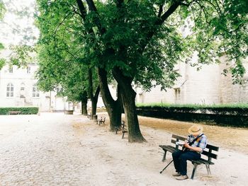 Senior man in the park