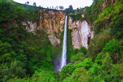View of waterfall in forest