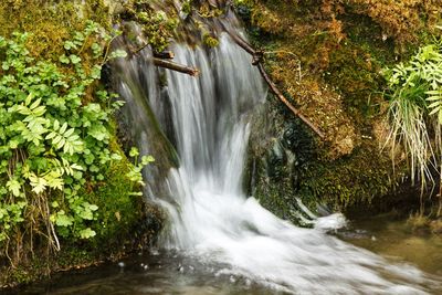 Scenic view of waterfall in forest