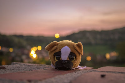 Close-up of stuffed toy on retaining wall against sky during sunset