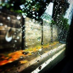 Close-up of water drops on glass