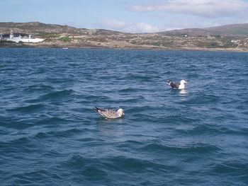 View of boats in calm blue sea