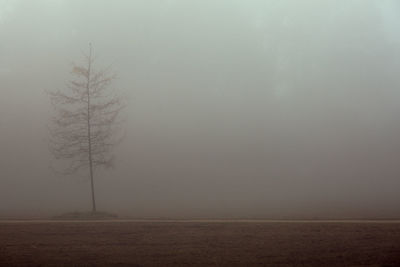 Scenic view of landscape against sky during winter