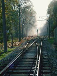 Railroad tracks by trees during foggy weather