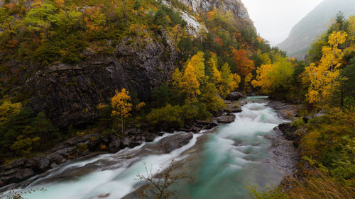 Scenic view of waterfall in forest