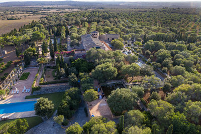 High angle view of trees in city
