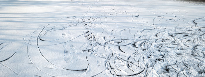 winter