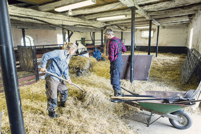 Man guiding woman in spreading hay at barn