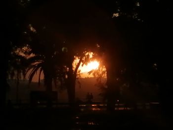 Silhouette trees against illuminated city at night