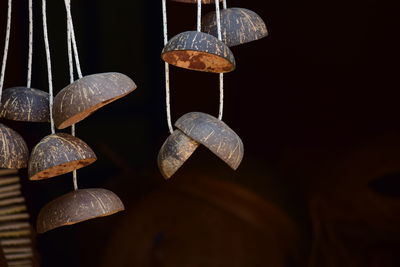 Close-up of dry leaves hanging against black background