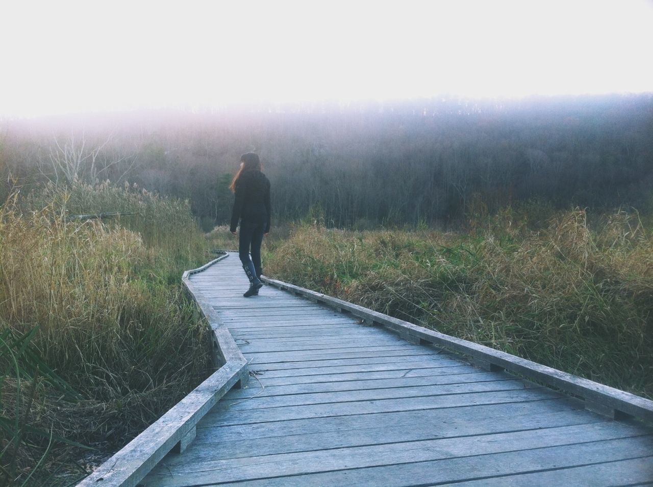 full length, rear view, the way forward, lifestyles, leisure activity, tranquility, grass, railing, tranquil scene, standing, walking, boardwalk, nature, men, wood - material, landscape, scenics, sky
