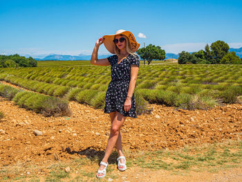 Lavender field in provence after cutting with young woman - fields of lavenda - southern france.